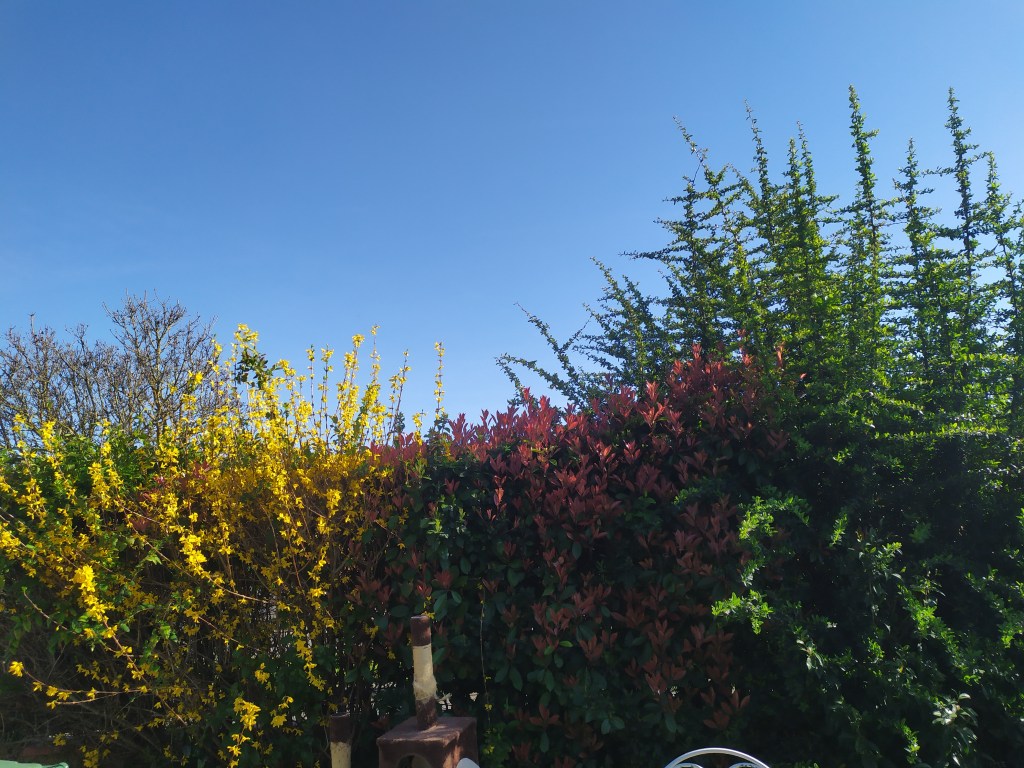 Le printemps arrive&nbsp;!